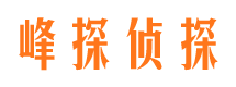 合阳市私家侦探